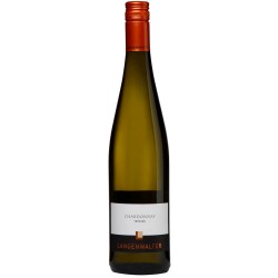 Chardonnay 2021 / Weingut Langenwalter