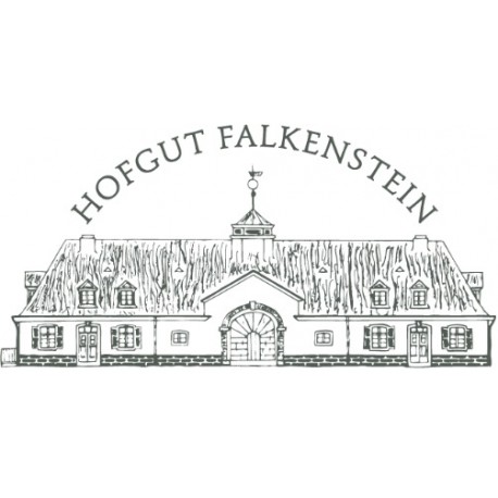 Riesling Kabinett trocken 2022 "Niedermenniger Herrenberg" / Hofgut Falkenstein
