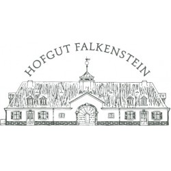 Riesling Kabinett feinherb 2022 "Niedermenniger Herrenberg" / Hofgut Falkenstein