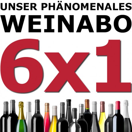 WEINABO 6x1